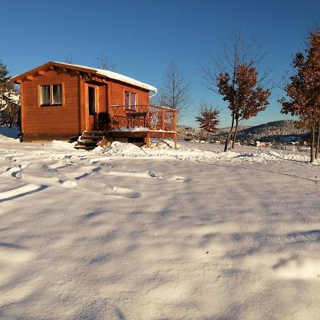 Le Chalet Des Etoiles Champagnac-le-Vieux Exteriör bild