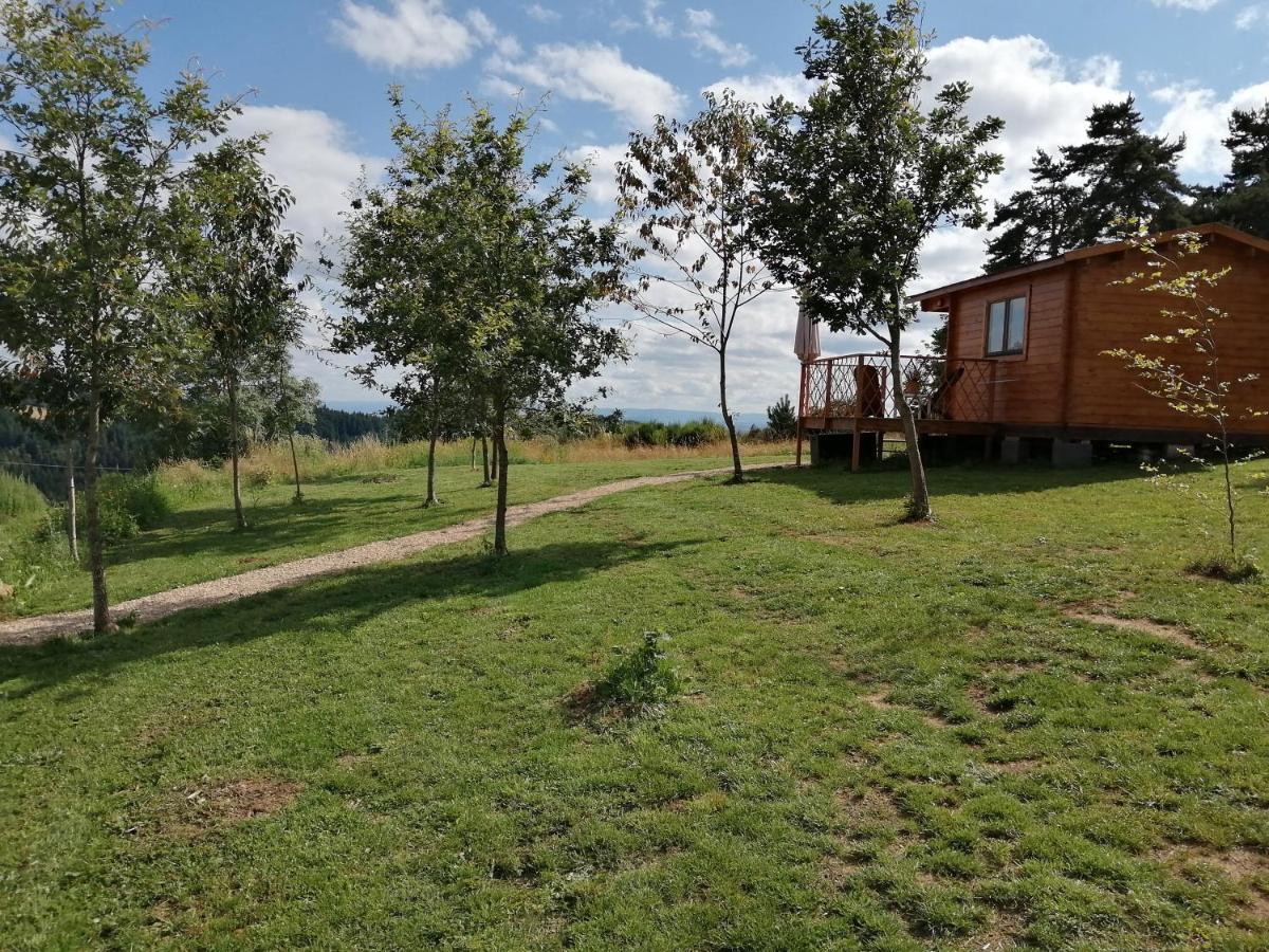 Le Chalet Des Etoiles Champagnac-le-Vieux Exteriör bild