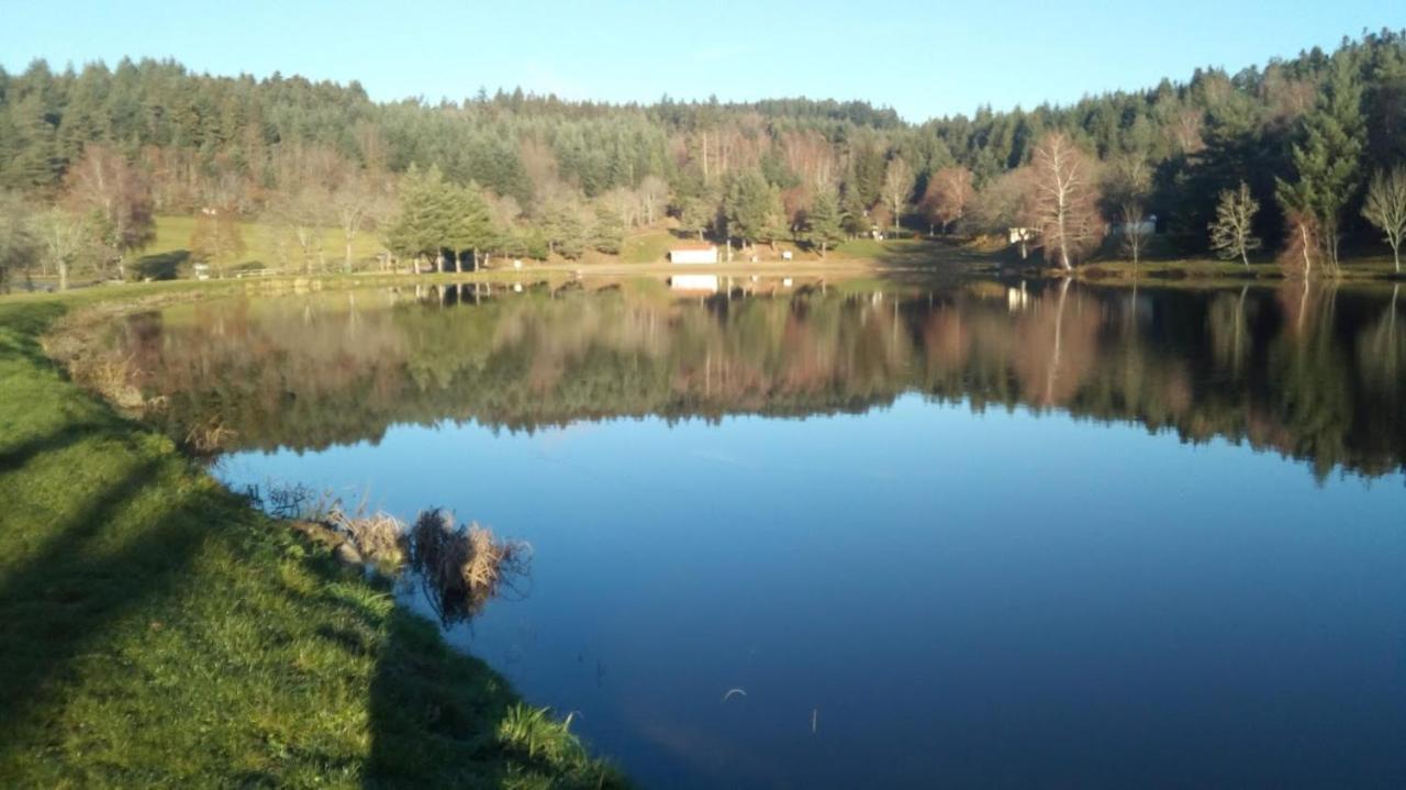 Le Chalet Des Etoiles Champagnac-le-Vieux Exteriör bild